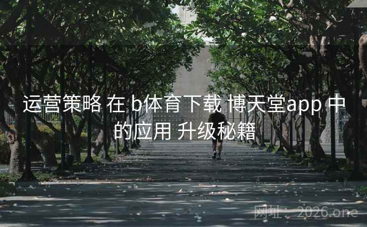 运营策略 在 b体育下载 博天堂app 中的应用 升级秘籍