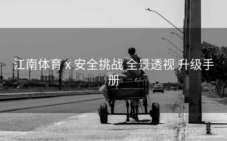 江南体育 x 安全挑战 全景透视 升级手册