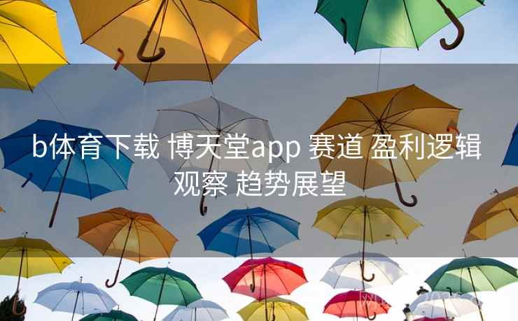 b体育下载 博天堂app 赛道 盈利逻辑 观察 趋势展望