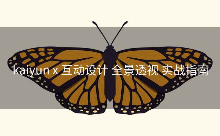 kaiyun x 互动设计 全景透视 实战指南