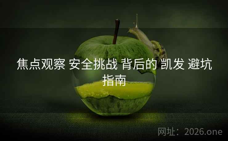 焦点观察 安全挑战 背后的 凯发 避坑指南