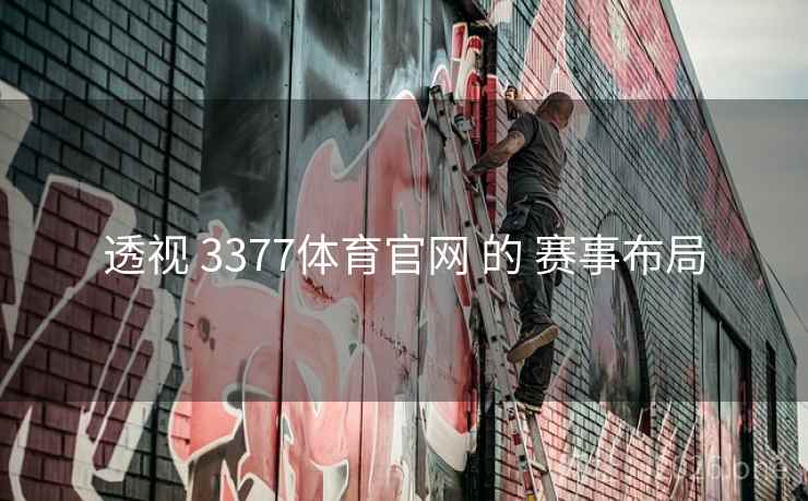 透视 3377体育官网 的 赛事布局