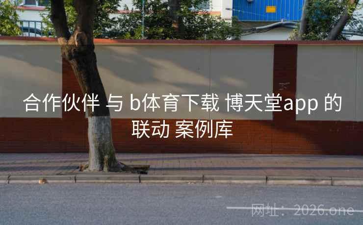 合作伙伴 与 b体育下载 博天堂app 的联动 案例库