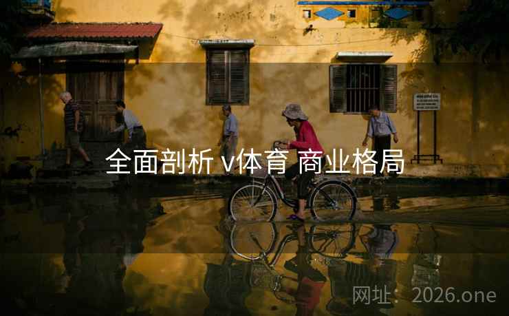 全面剖析 v体育 商业格局